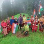 कुल्लू व नाचन में स्वतंत्रता दिवस पर रोपे देवदार के 12 सौ पौधे