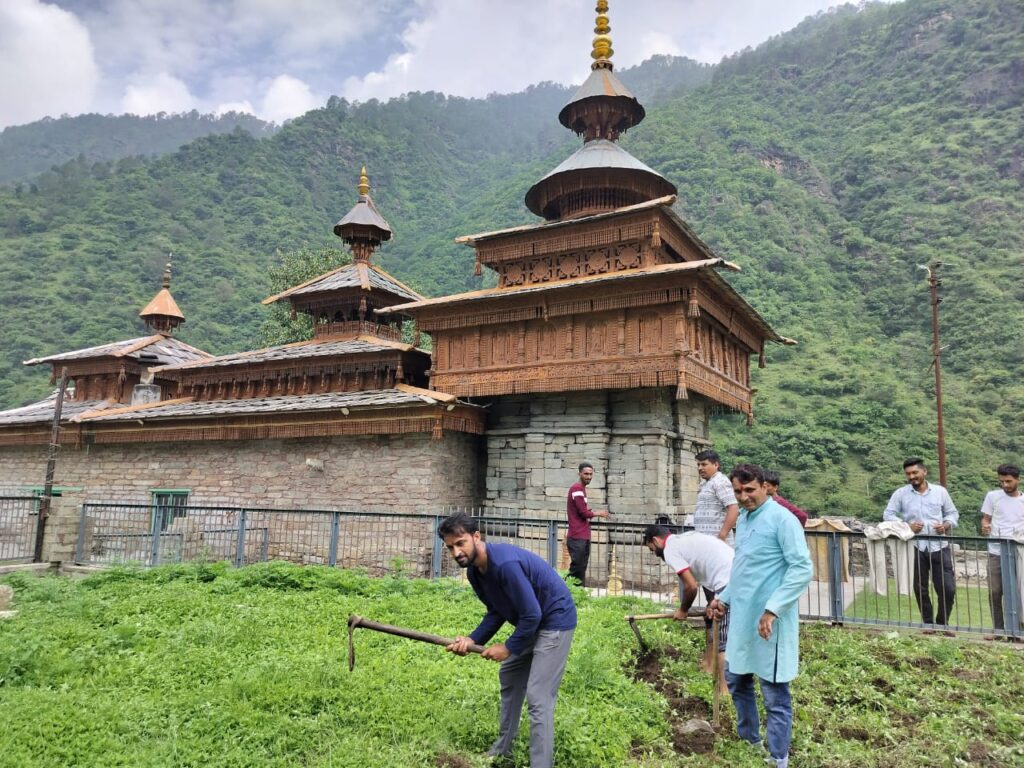 महासू देवता मंदिर हनोल में खिलते हैं नरगिस के फूल