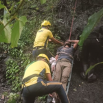 दून-मसूरी मार्ग पर खाई में गिरी कार, दो की मौत