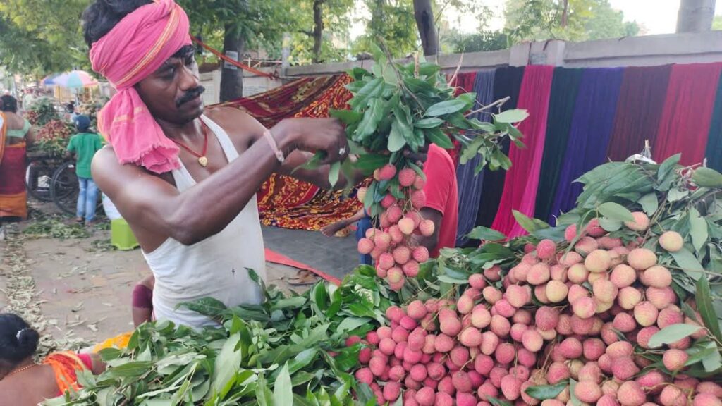वैश्विक बाजार में छाई रामनगर की लीची की मिठास